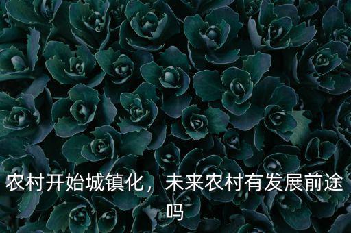 農(nóng)村開(kāi)始城鎮(zhèn)化，未來(lái)農(nóng)村有發(fā)展前途嗎