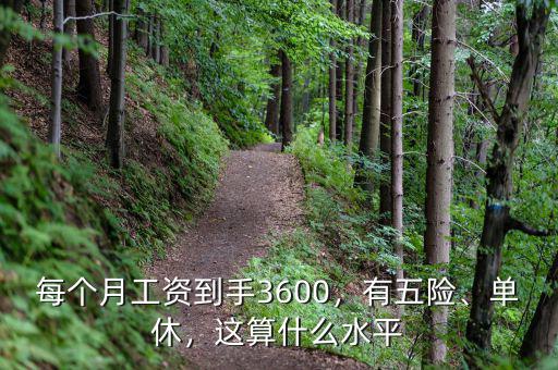 每個月工資到手3600，有五險、單休，這算什么水平