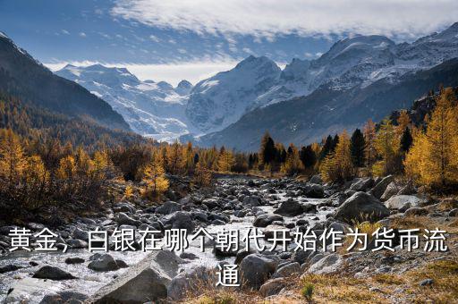黃金，白銀在哪個(gè)朝代開始作為貨幣流通