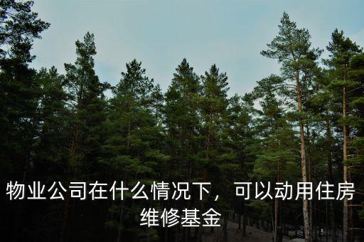 物業(yè)公司在什么情況下，可以動(dòng)用住房維修基金