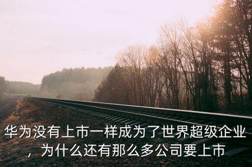 華為沒有上市一樣成為了世界超級企業(yè)，為什么還有那么多公司要上市