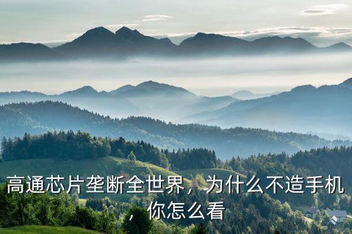 高通芯片壟斷全世界，為什么不造手機(jī)，你怎么看