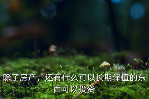 除了房產(chǎn)，還有什么可以長(zhǎng)期保值的東西可以投資