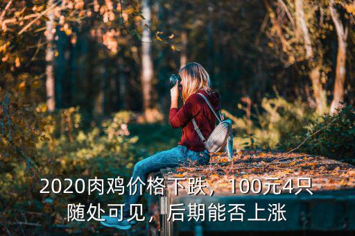 2020肉雞價格下跌，100元4只隨處可見，后期能否上漲