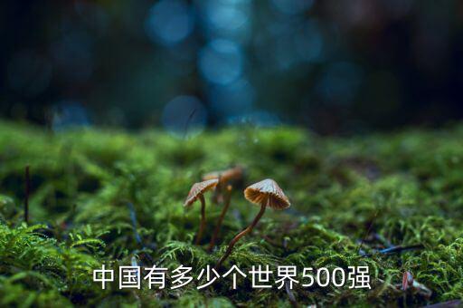 中國有多少個世界500強(qiáng)