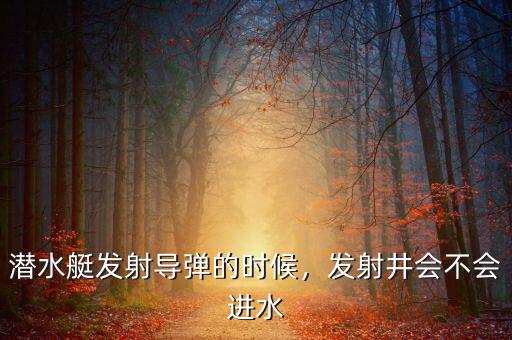 導彈什么時候放水,放水這個詞是什么時候出現(xiàn)的