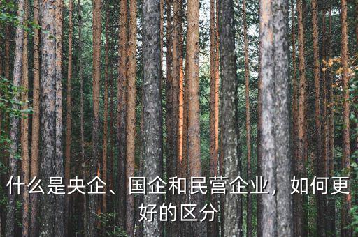 什么是央企、國企和民營企業(yè)，如何更好的區(qū)分