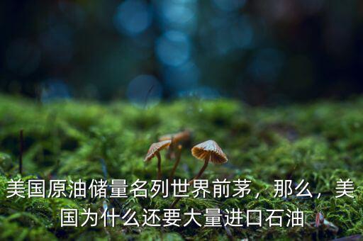 美國原油儲(chǔ)量名列世界前茅，那么，美國為什么還要大量進(jìn)口石油