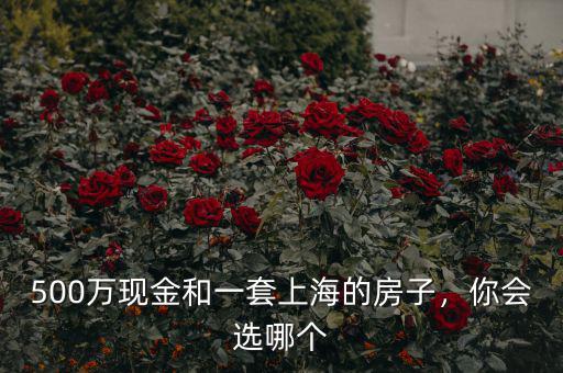 500萬現(xiàn)金和一套上海的房子，你會選哪個