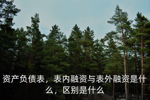 表內(nèi)融資什么意思,表內(nèi)融資與表外融資是什么