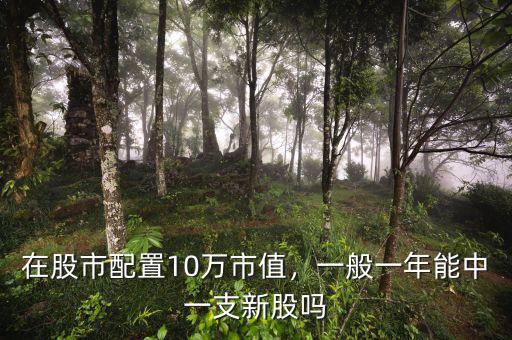 在股市配置10萬市值，一般一年能中一支新股嗎
