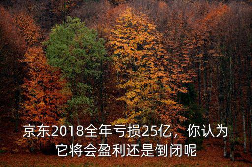 京東2018全年虧損25億，你認為它將會盈利還是倒閉呢