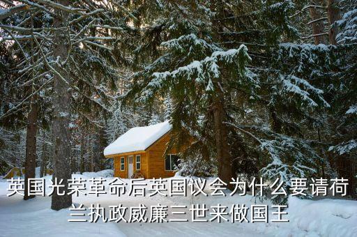 英國(guó)光榮革命后英國(guó)議會(huì)為什么要請(qǐng)荷蘭執(zhí)政威廉三世來(lái)做國(guó)王