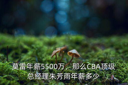 莫雷年薪5500萬，那么CBA頂級總經(jīng)理朱芳雨年薪多少