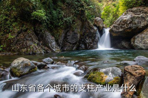 山東省各個城市的支柱產業(yè)是什么