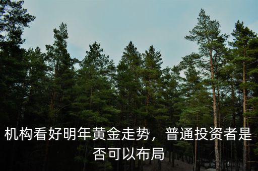 機(jī)構(gòu)看好明年黃金走勢，普通投資者是否可以布局