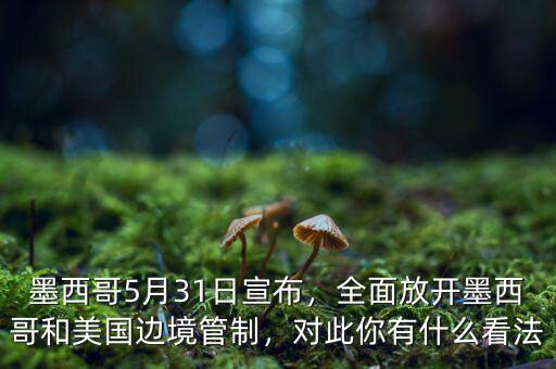 墨西哥5月31日宣布，全面放開墨西哥和美國邊境管制，對此你有什么看法