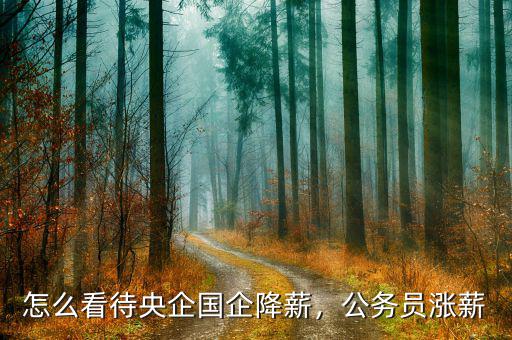 怎么看待央企國企降薪，公務(wù)員漲薪