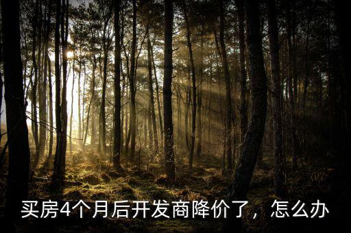 買房4個月后開發(fā)商降價了，怎么辦
