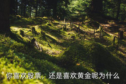 你喜歡股票，還是喜歡黃金呢為什么
