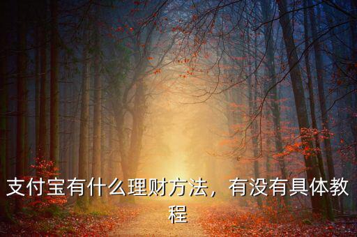 怎么用支付寶理財(cái),該如何用支付寶來(lái)理財(cái)呢