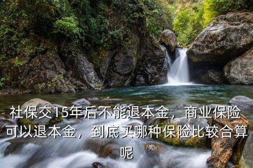 買(mǎi)保險(xiǎn)怎么不退本金,到底買(mǎi)哪種保險(xiǎn)比較合算呢