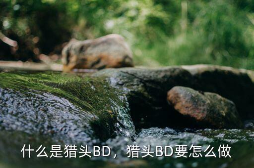 什么是獵頭BD，獵頭BD要怎么做