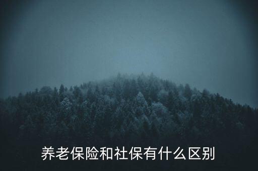 養(yǎng)老保險和社保有什么區(qū)別