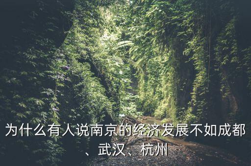 為什么有人說南京的經(jīng)濟(jì)發(fā)展不如成都、武漢、杭州