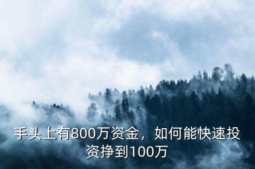 手頭上有800萬資金，如何能快速投資掙到100萬