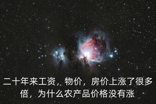 二十年來工資，物價，房價上漲了很多倍，為什么農(nóng)產(chǎn)品價格沒有漲