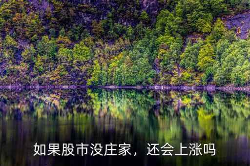 如果股市沒莊家，還會(huì)上漲嗎