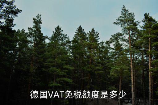 德國(guó)VAT免稅額度是多少