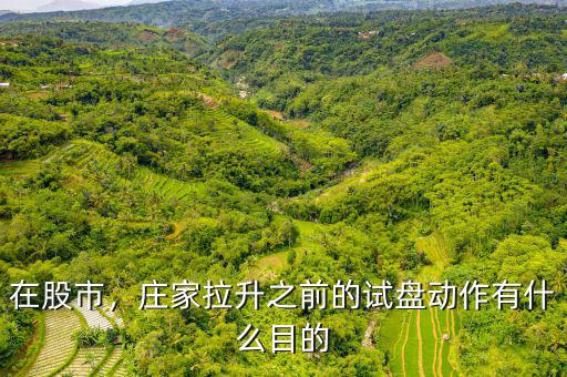 在股市，莊家拉升之前的試盤動(dòng)作有什么目的