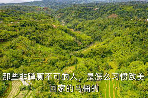 那些非蹲廁不可的人，是怎么習慣歐美國家的馬桶的