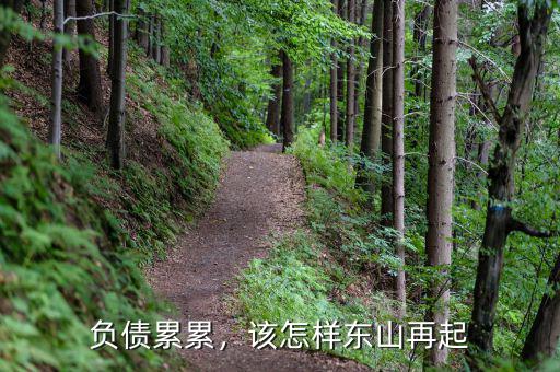 負(fù)債累累怎么東山再起,該怎樣?xùn)|山再起