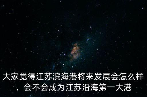 大家覺得江蘇濱海港將來發(fā)展會怎么樣，會不會成為江蘇沿海第一大港