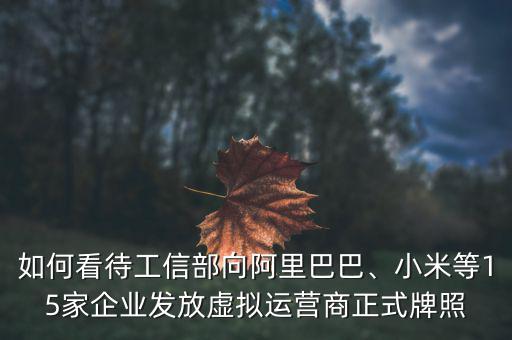 如何看待工信部向阿里巴巴、小米等15家企業(yè)發(fā)放虛擬運(yùn)營(yíng)商正式牌照