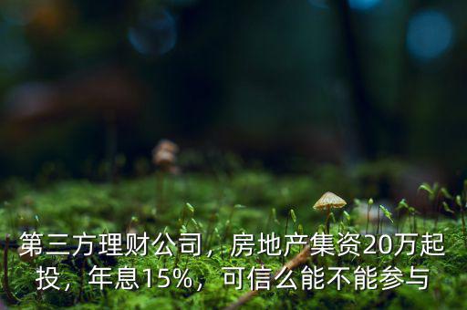 第三方理財公司，房地產(chǎn)集資20萬起投，年息15%，可信么能不能參與