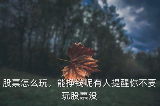 股票怎么玩，能掙錢呢有人提醒你不要玩股票沒