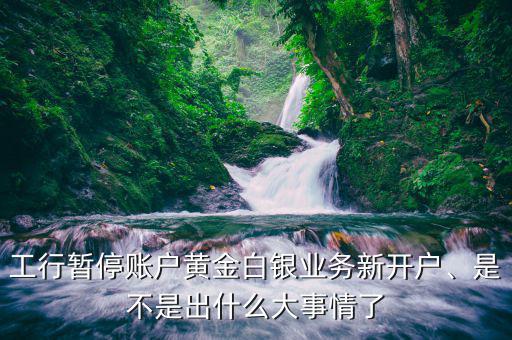 工行暫停賬戶黃金白銀業(yè)務(wù)新開戶、是不是出什么大事情了