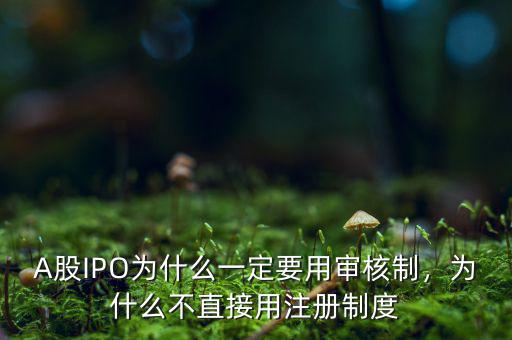 A股IPO為什么一定要用審核制，為什么不直接用注冊制度