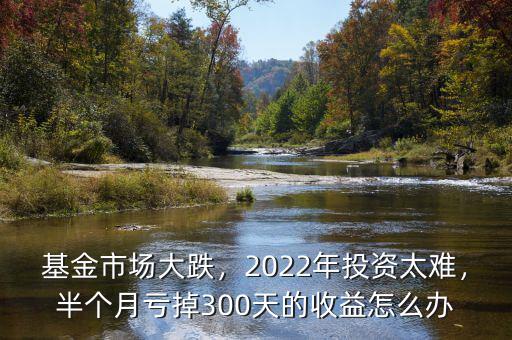 基金市場(chǎng)大跌，2022年投資太難，半個(gè)月虧掉300天的收益怎么辦