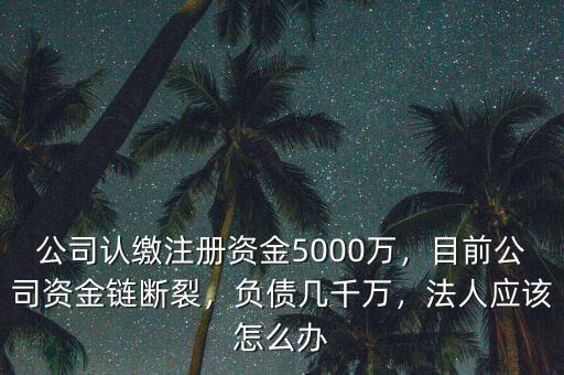 資金鏈斷裂后怎么辦,目前公司資金鏈斷裂