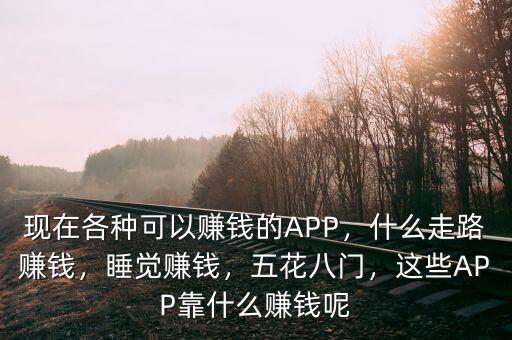 中國靠什么賺錢,這些APP靠什么賺錢呢