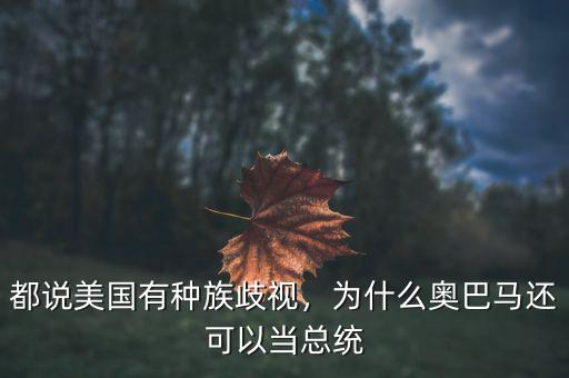 都說美國有種族歧視，為什么奧巴馬還可以當(dāng)總統(tǒng)