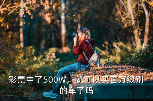 我中了6000萬(wàn)買(mǎi)什么車(chē),要是彩票中了300萬(wàn)