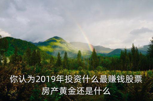 你認(rèn)為2019年投資什么最賺錢(qián)股票房產(chǎn)黃金還是什么