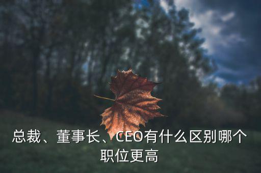 總裁、董事長、CEO有什么區(qū)別哪個(gè)職位更高