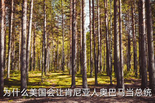 為什么美國會讓肯尼亞人奧巴馬當(dāng)總統(tǒng)